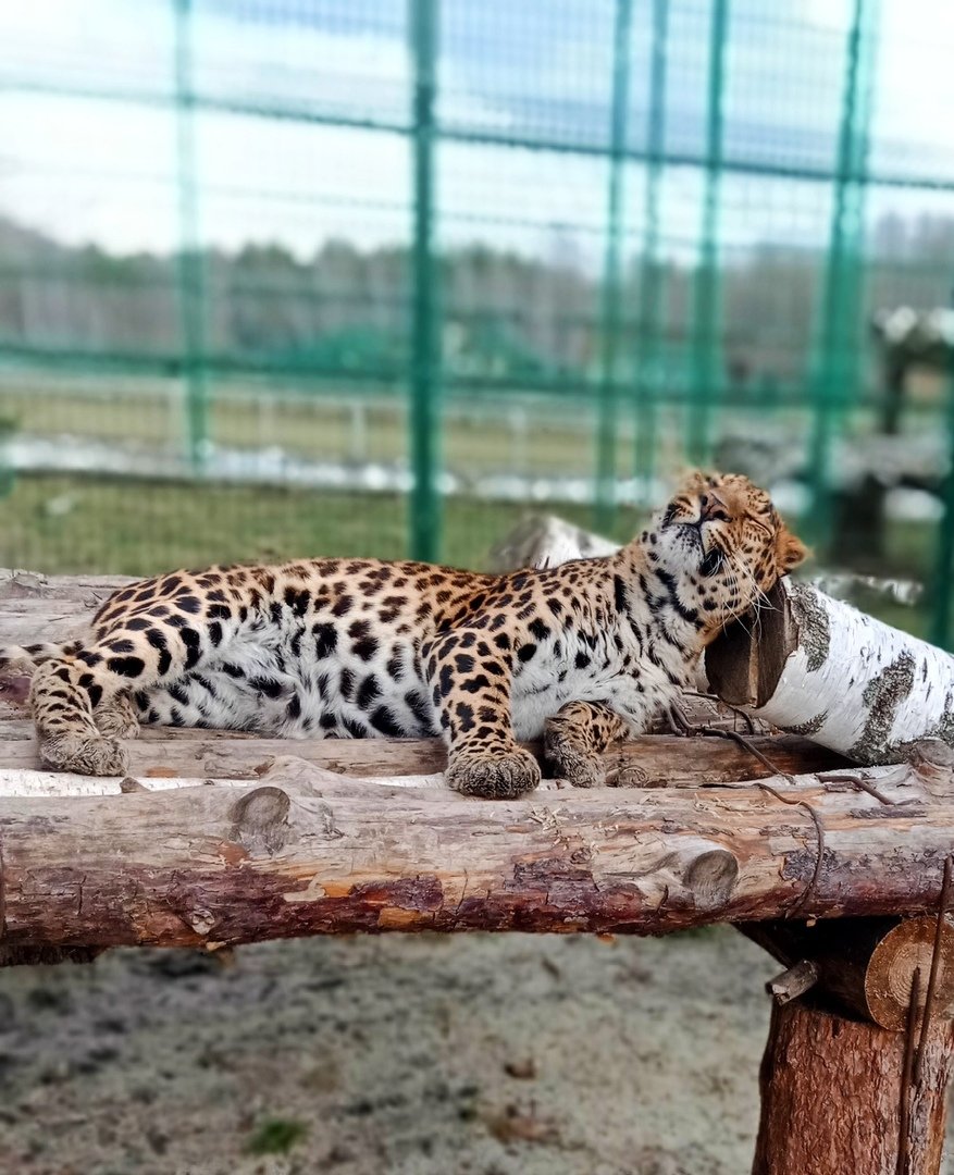 Фото белгородского зоопарка