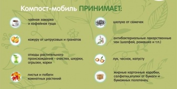 "Компост-мобиль" возвращается! Волонтеры в Петрозаводске примут на переработку органические отходы