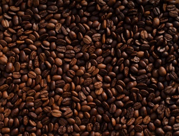 Ученые из США нашли связь кофеина со здоровым микробиомом кишечника