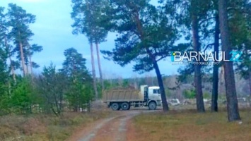 Барнаульцы сняли на видео КАМАЗ, который привез мусор в ленточный бор