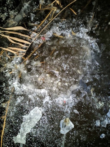 Дети нашли вмерзшее в лед тело младенца в Саратовской области