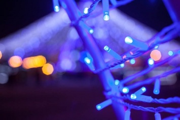 Главную елку Белгорода вновь украсит световой шатер