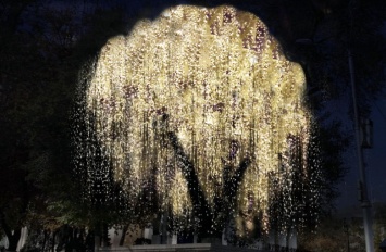 В Белгороде появится дерево со светящимися дредами