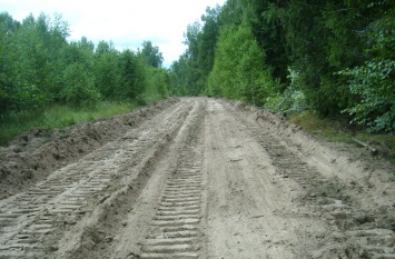 В Ивановской области обновили 120 км противопожарных дорог в лесах
