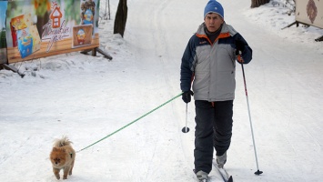 Барнаульцев приглашают покататься на коньках и лыжах в «Спортивные выходные»