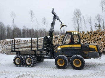 Систему «Умный лес» планируют внедрить в Ульяновске