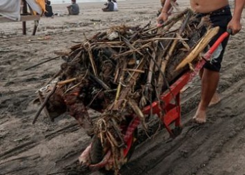 На Бали популярные пляжи превратились в мусорные свалки