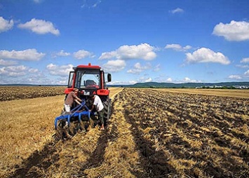 «Дальневосточный гектар», сельхозкооперация и «Точки роста»