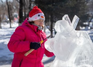 Журавли и инопланетяне: в Благовещенске прошел конкурс ледовых скульптур