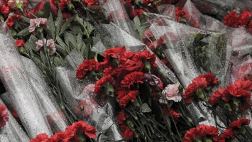 В барнаульской гимназии появились мемориальные доски в честь погибших учеников