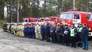 План тушения лесных пожаров составлен в Алтайском крае
