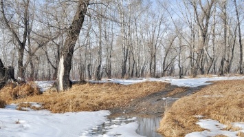 Весна начинается. В Алтайском крае ожидается потепление