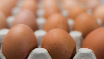 Почему в России начался рост цен на яйца и курицу