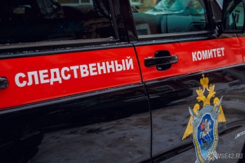СК начал проверку после публикации об избитой в Прокопьевске девочке