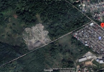 В парковой зоне Калининграда нашли незаконную свалку размером с два футбольных поля