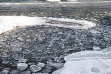 «Мы все поплывем»: Алиханов призвал муниципалитеты готовиться к потеплению