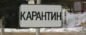 Карантин объявили в одном из районов Калужской области