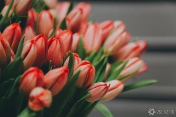 Цветы в России могут подорожать к 8 марта в полтора раза