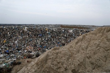 Власти оценили годовой рост объемов мусора в области в 9%