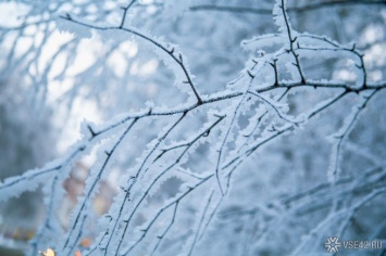 Москвичи пережили самую холодную ночь зимы в этом году