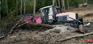 Спасение болотного трактора ВЗГМ-90! Гламурный трактор цвета фуксии попал в беду: