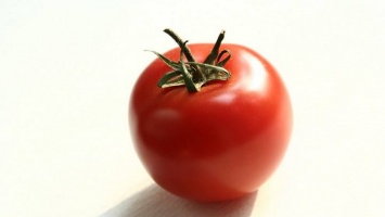 Россельхознадзор запретил ввоз в Россию сенегальских томатов