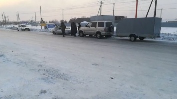 Полиция в Кузбассе поймала браконьера с тушей лося на дороге