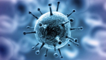Мясников уверен, что коронавирус и его мутации станут привычной частью нашей жизни
