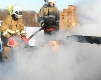 Девушка и женщина погибли на пожаре в деревне Сосновка