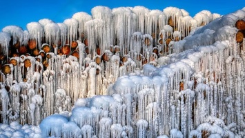 После морозов в Алтайский край придет оттепель с дождем