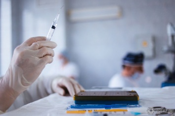 Австрия обсудила с Россией возможные поставки вакцины "Спутник V"