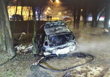 Ночью в Симферополе автомобиль врезался в дерево и загорелся: погибла студентка, - ФОТО
