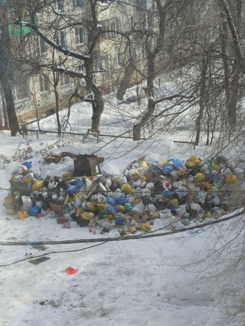 В Бийске во дворе многоквартирного дома вырос «недоступный» для коммунальщиков мусорный полигон