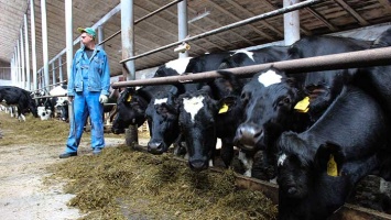 Алтайские аграрии могут получить от государства меньше средств