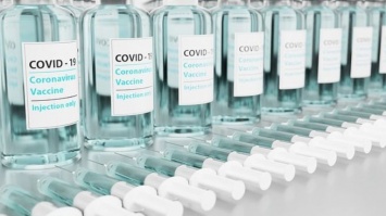 Сертификаты вакцинации от COVID-19 для поездок за границу появятся в России