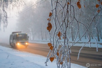 Водитель пытался выгнать из маршрутки школьницу в Кемерове