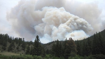 Стало известно, когда начнется пожароопасный сезон в лесах Алтайского края