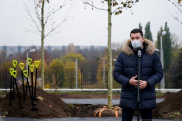 «Город-Сад 2.0»: Алиханов анонсировал высадки деревьев в Калининграде