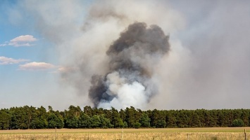 92 млн рублей получит Алтайский край на закупку лесопожарной техники