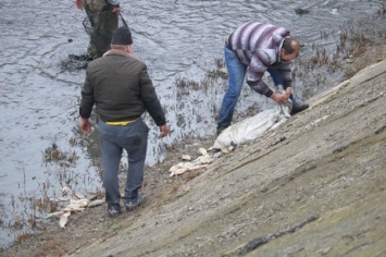 Ростовчане массово растащили рыбу из обмелевшего водоема