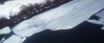 Спасатели сняли калужанина со льдины на Оке