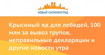 Крысиный яд для лебедей, 100 млн за вывоз трупов, неправильные декларации и другие новости утра