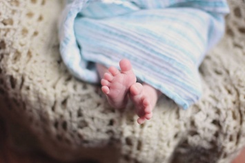 Волгоградские мусорщики нашли тела новорожденных двойняшек на свалке