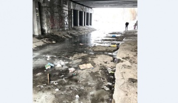 Новокузнечане пожаловались мэру на заваленную мусором пешеходную зону около реки
