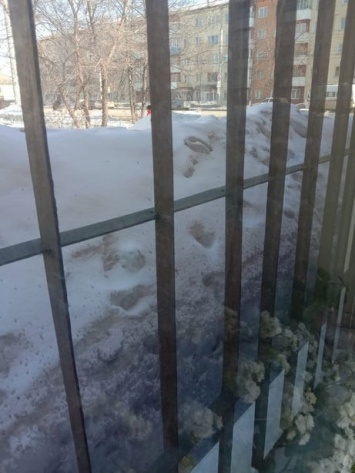Скинутый с крыши снег забаррикадировал окно жителю Кузбасса