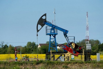 В Роснедрах оценили объем нефтяных запасов России