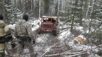 Три человека повалили под Новокузнецком лес на 17 миллионов рублей
