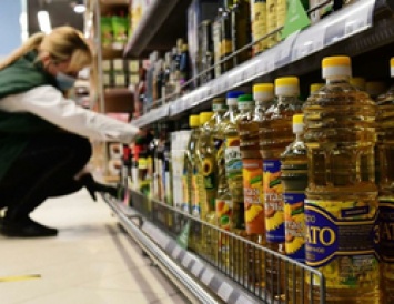 Белгородские производители сахара и масла получат 890 млн рублей