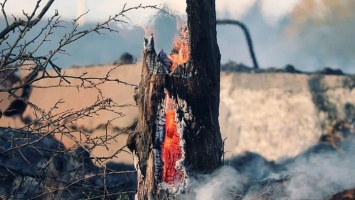 Пожароопасный сезон в Алтайском крае начнется 9 апреля