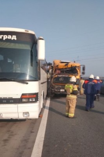 Полиция возбудила дело после гибели водителя автобуса на Приморском кольце